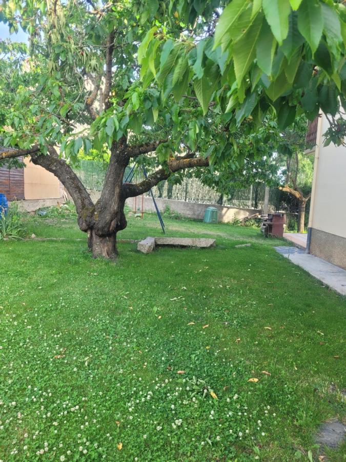 Maison De Vacances Au Coeur De La Cerdagne Angoustrine Екстериор снимка